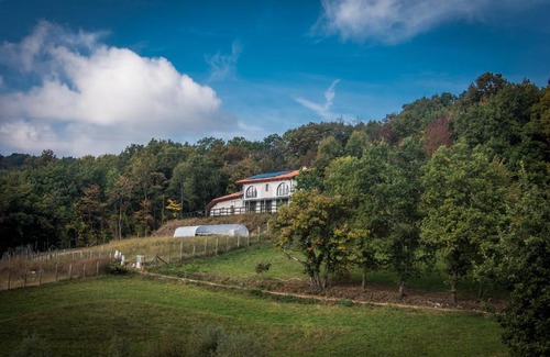 Baldissero Torinese Apartment | Agriturismo "La Collina" - 15km dal centro di Torino