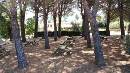 Montorio Romano House | Agriturismo La Ripa