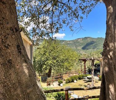 Gioi House | Agriturismo Nonno Ninuccio