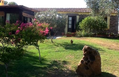 Perfugas House | Agriturismo nuraghe Putzu Canu