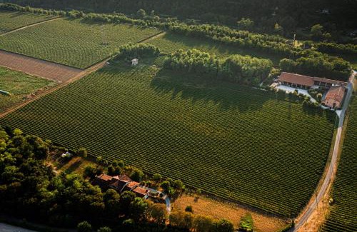 Capriolo House | AGRITURISMO RIPA DEL BOSCO