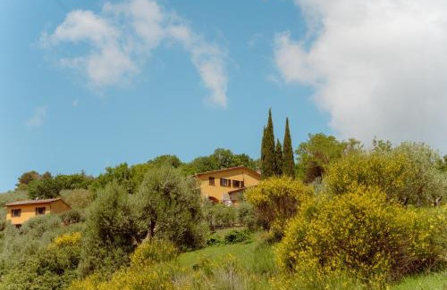 Montelaguardia House | Agriturismo San Felicissimo
