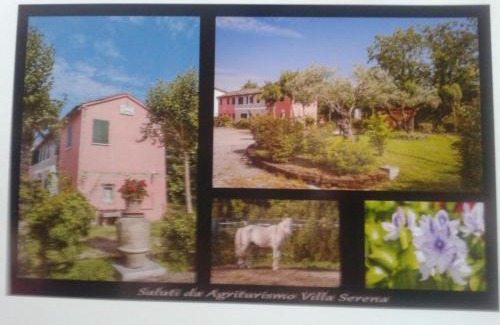 Vigonovo House | Agriturismo Villa Serena