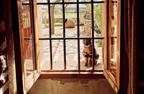 Castillo de Bayuela House | Agroturismo Los Prados Sierra de San Vicente