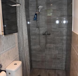 gmina Rzewnie Apartment | Agroturystyka Staw i koza