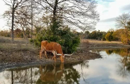 Groesbeck House | Aim Ranch