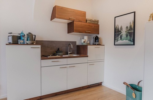 Miltenberg Apartment | Air-conditioned apartment (32.5 sqm) with box-spring bed
