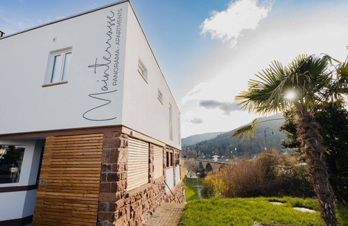 Miltenberg Apartment | Air-conditioned apartment (32.5 sqm) with box-spring bed