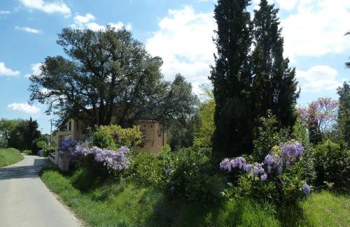 Pistoia House | Al Vecchio Leccio