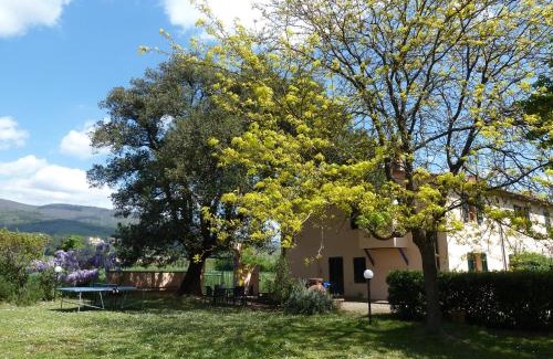 Pistoia House | Al Vecchio Leccio