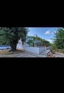 Fasano House | al vecchio ulivo