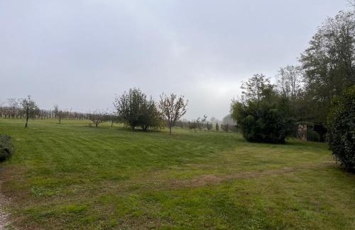 Suzzano House | Al Vigneto