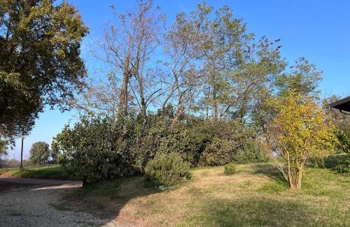Suzzano House | Al Vigneto
