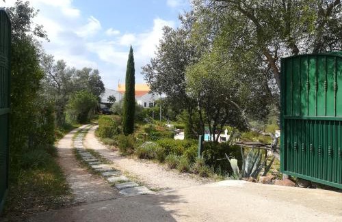 Salir House | Alagoas Park