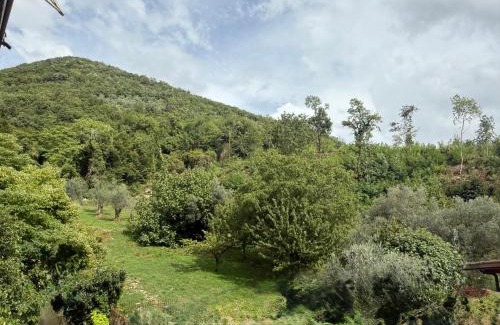 Sant'Angelo d'Alife Bed & Breakfast | Alba Matesina