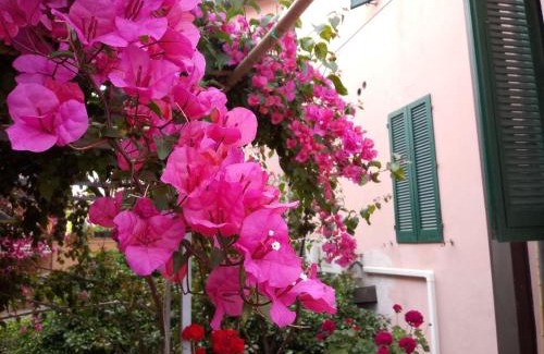 Piombino Hotel | Albergo Italia