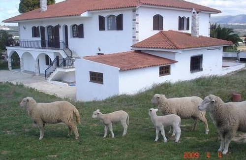 Alcobaca House | Alcobaça near the beaches of Nazaré and São Martinho do Porto - Casa São Bernardo