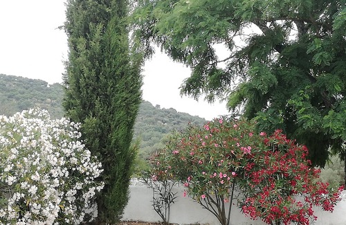 Elvas Cottage | Alentejo Elvas (Monte dos Alcamins)