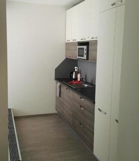 Brno Apartment | Alfa Panorama Brno