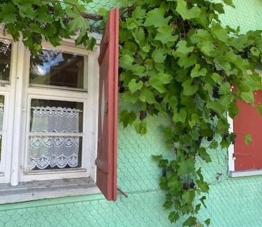 Weiler-Simmerberg Apartment | Allgäu Cottage - traumhafter Blick in die Schweizer Berge