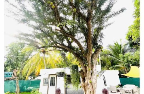 Los Cobanos House | Almendra Beach Place