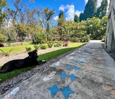 Volcano House | Aloha Junction Bed and Breakfast -Minutes away from Hawaii Volcanoes National Park