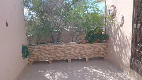 Torreon House | Alojamiento OLSI