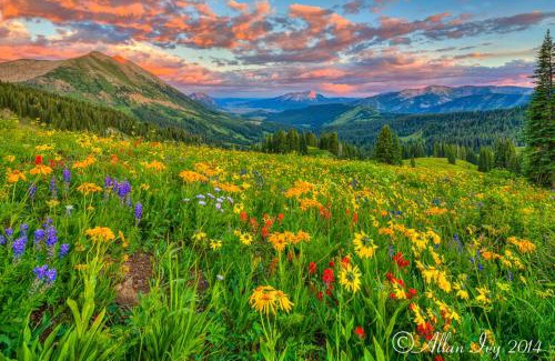 Gunnison Hotel | Alpine Inn & Suites Gunnison