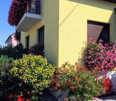 Oberhergheim Apartment | ALSACE Gite Climatisé jardin garage motos vélos près Colmar Eguisheim