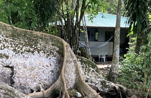 Puerto Jimenez House | Also see our other house listing #692517 with a pool. NEW HOME ON THE BEACH.