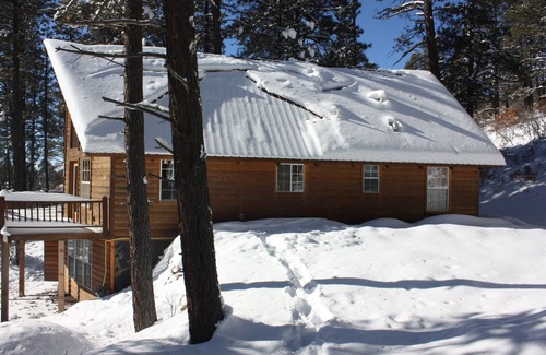 San Juan River Village Cabin | Altitude Adjustment cabin near Wolf Creek - pet friendly