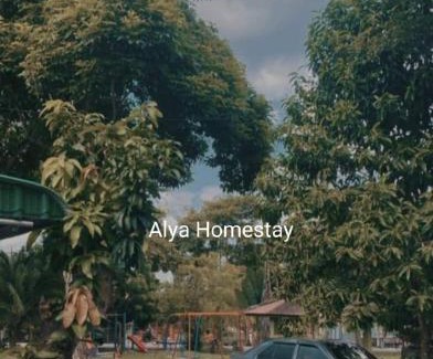 Ayer Panas House | ALYA HOMESTAY TAMAN TAMBAK PAYA MURNI