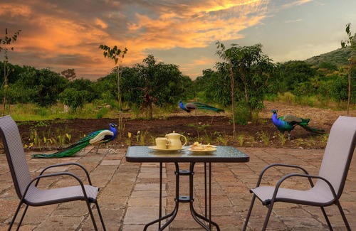 Junagadh Villa | Amã Stays & Trails The Deck, Girnar Forest, Junagarh