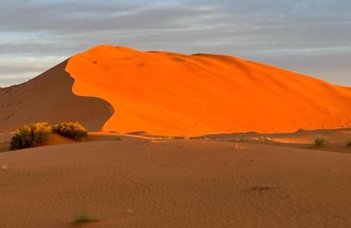 Lac Yasmins Bed & Breakfast | Amadjar Nomadic Tents