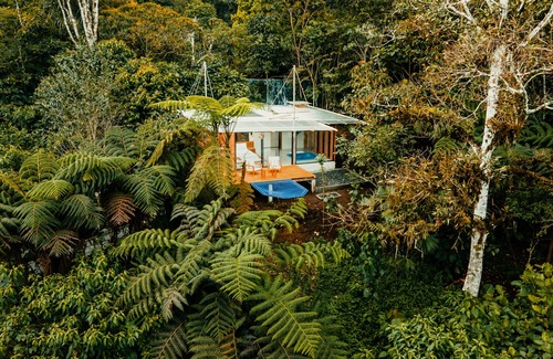 Macas Cabin | Amazon Glamping Coliving Ecuador