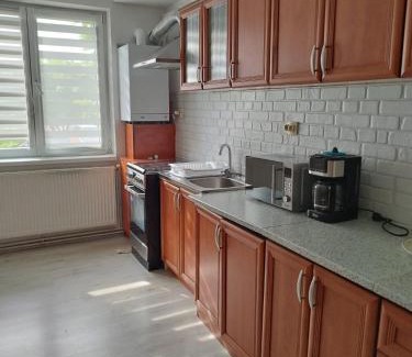 Ocna Mures Apartment | AME Home Apartament