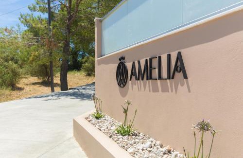 Alonia Villa | Amelia Residence