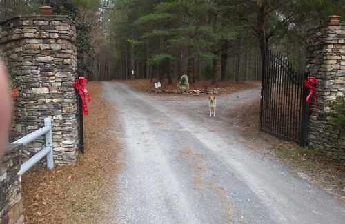 Rockmart Bed & Breakfast | Americana at Becks Lake Bed and Breakfast