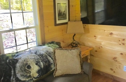 Fort Gay Cabin | Amish-Built Log Cabin with Private Ravine Views