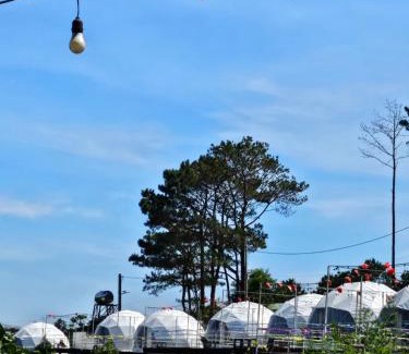 Bao Lam Other | An Nhien garden
