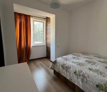 Borjomi Apartment | Ana's cosy home in Borjomi center