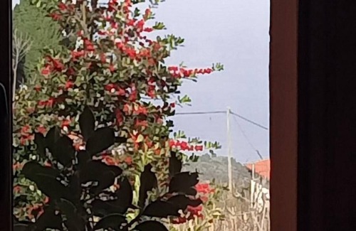 Makrirrakhi House | Anastasia's Cottage in Pelion
