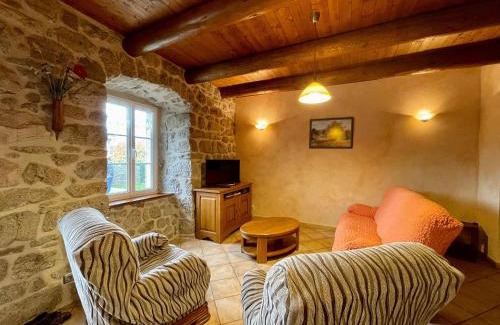 Saint-Jeures House | Ancienne ferme rénovée en bordure de forêt avec terrasse, balançoire et travaux modernes - FR-1-582-254