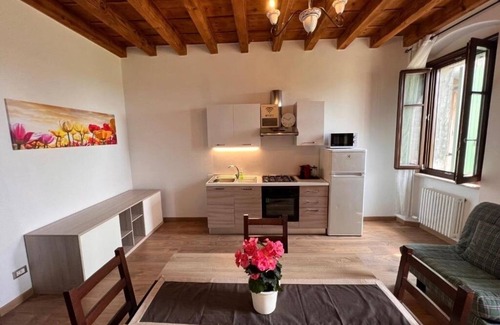 Monzambano Apartment | Ancient Coat of Arms Meneghella Court - Tulips