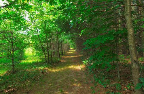 Grand Junction House | Ancient Oak Sanctuary Rural getaway, walking paths