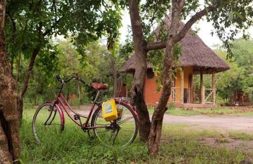 Mikumi Cabin | Angalia Tented Camp