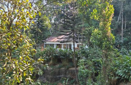 Udumbanchola House | Anivilla Holiday Home Kunjithanny