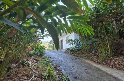 Udumbanchola House | Anivilla Holiday Home Kunjithanny