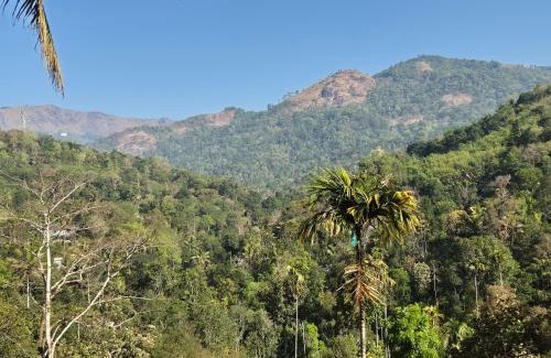 Udumbanchola House | Anivilla Holiday Home Kunjithanny
