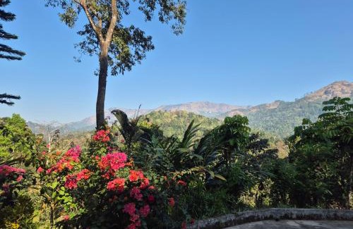 Udumbanchola House | Anivilla Holiday Home Kunjithanny